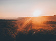 © Christopher Henshaw - View of sun rising over forest
