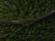 © Colson Struss - Aerial view of empty road passing through forest