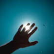 © Caden Jordt - Close up of sun seen through man's hand