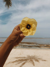 Close Up View Of Yellow Flower On Tropical Beach