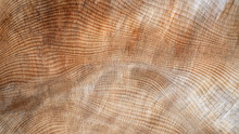 Abstrakte, Leicht Rissige Struktur Im Holz Eines Sehr Dicken Baumstamms