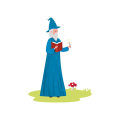 Sticker - wizard of fairytale avatar character vector illustration design