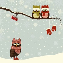 Christmas Card With Cute Owls In Winter