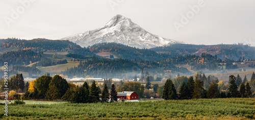 Fotografía View of a red barn and orchard with Mt Hood in the background