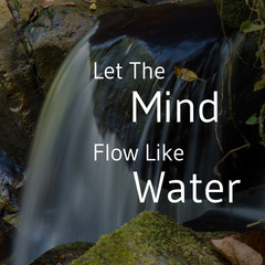Inspirational and motivational quote. Let The Mind Flow Like Water.
