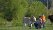 © MEDIAIMAG - Father holding baby and big son caress a veal in beautiful countryside nature