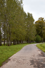 Naklejka na meble urban park landscape on a cloudy afternoon