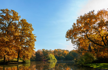 Wall Mural - beautiful trees with colorful autumn leaves around a lake in an old park, seasonal landscape with co