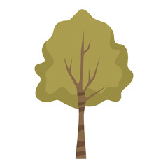 Poster - tall tree icon image, flat design