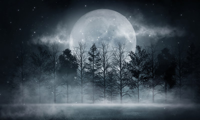dark forest. gloomy dark scene with trees, big moon, moonlight. smoke, shadow. abstract dark, cold s