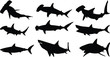 shark silhouette  vector on white background