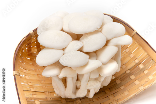 白しめじ Buy This Stock Photo And Explore Similar Images At Adobe Stock Adobe Stock 白しめじ Buy This Stock Photo And Explore Similar Images At Adobe Stock Adobe Stock