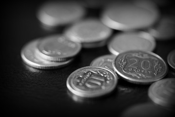 Wall Mural - Polish coins scattered on a dark background close up, black and white