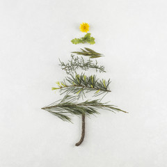 Wall Mural - Christmas tree from different branches