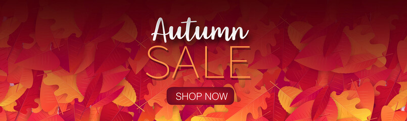 Wall Mural - Fall season banner or header background with red and orange leaves.  Autumn sale typography text for advetising, shopping promotion. Vector illustration.