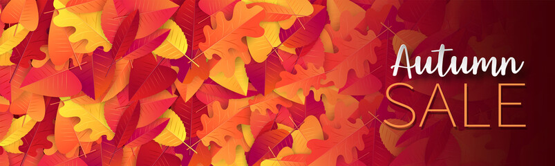 Wall Mural - Fall season banner or header background with red and orange leaves.  Autumn sale typography text for advetising, shopping promotion. Vector illustration.