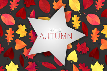 Hello autumn design concept with red and orange tree leaves on grey background and typography text on a star shape. Vector illustration.