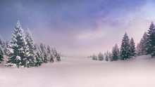 White Spacious Landscape With Snow Covered Plain And Forest At Sunrise
