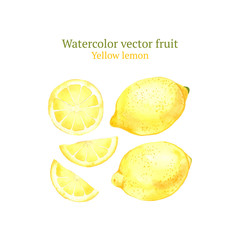 Wall Mural - Watercolor vector lemon