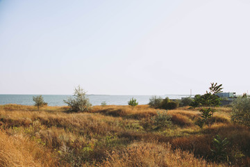 Wall Mural - Beautiful landscape with sea view