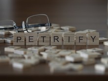 The Concept Of Petrify Represented By Wooden Letter Tiles