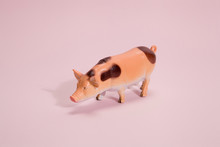 Pig Plastic Figurine Pink Background