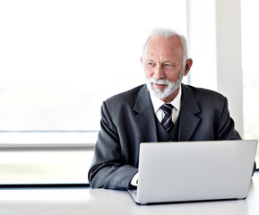 senior businessman laptop office work business computer