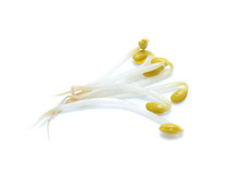 Bean Sprouts  Isolated On White Background