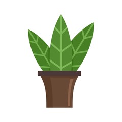 Poster - Big leaf houseplant icon. Flat illustration of big leaf houseplant vector icon for web design