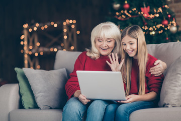 Poster - Portrait of nice attractive lovely glad cheerful cheery granny pre-teen grandchild using laptop making video calls waving hi hello festal atmosphere at decorated industrial loft style interior house