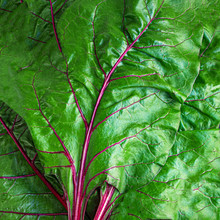 Rhubarb On Black Background. Fresh Red Rhubarb Stalks With Green Leaves, Top View.