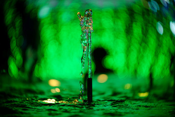 Poster - Fountain in the garden with a party festival