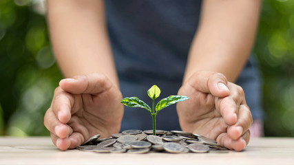 Planting small trees with two hands on a natural green background, money growth concept.