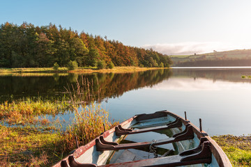 Rowing boat half filled with rain water on the shore of the lake on a misty autumn morning. Irish countryside scene. Blessington Lake in Wicklow, Ireland.