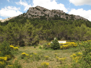 Petite maison au pied de la colline en Provence