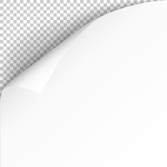 Poster - Sheet of paper with curled corner and soft shadow, template for your design. Vector illustration