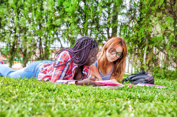 Wall Mural - Teenagers outdoor making school lesson. Two female multi ethnic friends