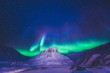 Wall Mural - the polar arctic northern lights hunting aurora borealis sky star in norway travel photographer sval