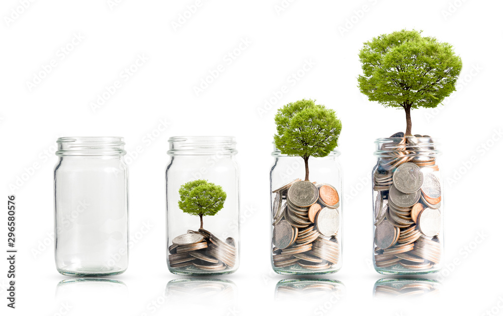 Money coins and tree growing in jar. Profit on deposit in bank and dividend for stock investment concept. - obrazy, fototapety, plakaty 