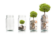 Money Coins And Tree Growing In Jar. Profit On Deposit In Bank And Dividend For Stock Investment Concept.