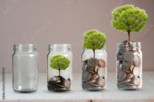 Cuadros en Lienzo Money coins and tree growing in jar