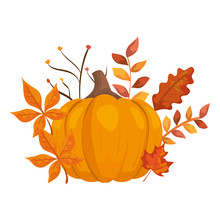 Autumn Pumpkin With Leafs Isolated Icon Vector Illustration Design