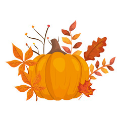 Canvas Print - autumn pumpkin with leafs isolated icon vector illustration design