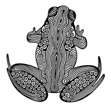Vector Illustration Of Outline, Decorative, Stylized, Zentangle Frog, In Black Color, Isolated, On White Background. Top View.