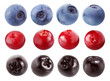 blueberry, chokeberry and cranberry isolated on white