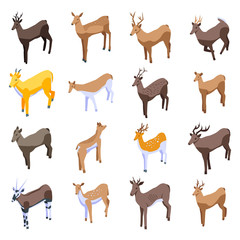 Canvas Print - Deer icons set. Isometric set of deer vector icons for web design isolated on white background