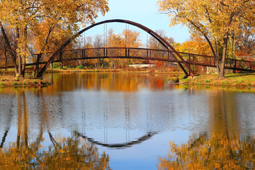 Wall Mural - beautiful fall landscape with stylish bridge in the city park. scenic view with colored trees and br
