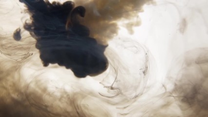 Poster - black and white ink mix in water on a white isolated background in slow motion. inky cloud swirling 