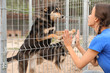 © New Africa - Female volunteer near dog cage at animal shelter outdoors