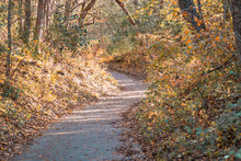 Paved Hiking Trail In Willow River State Park In Hudson Wisconsin